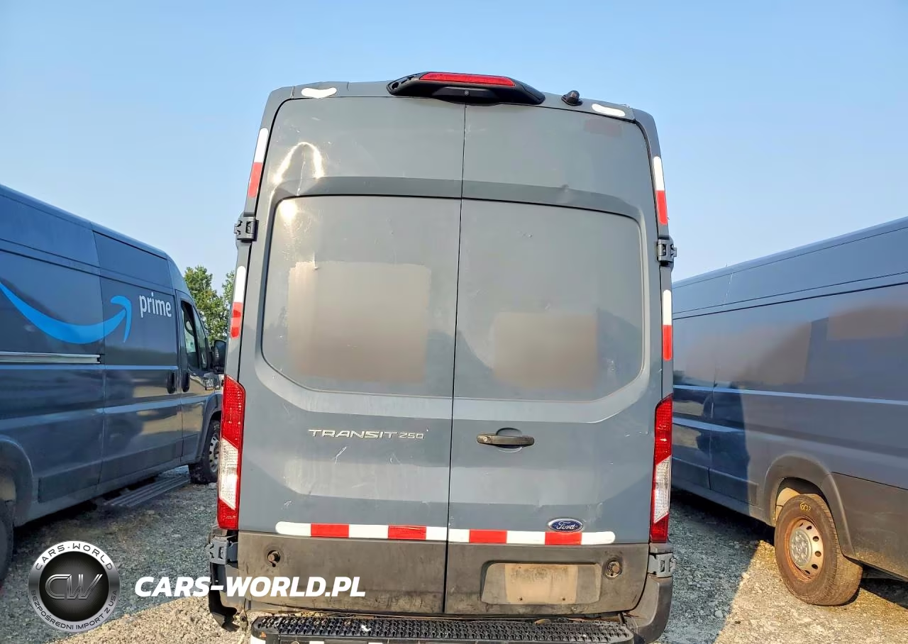 2020 Ford Transit 250 Delivery Van VIN:1FTBR3X81LKA86892 - 6