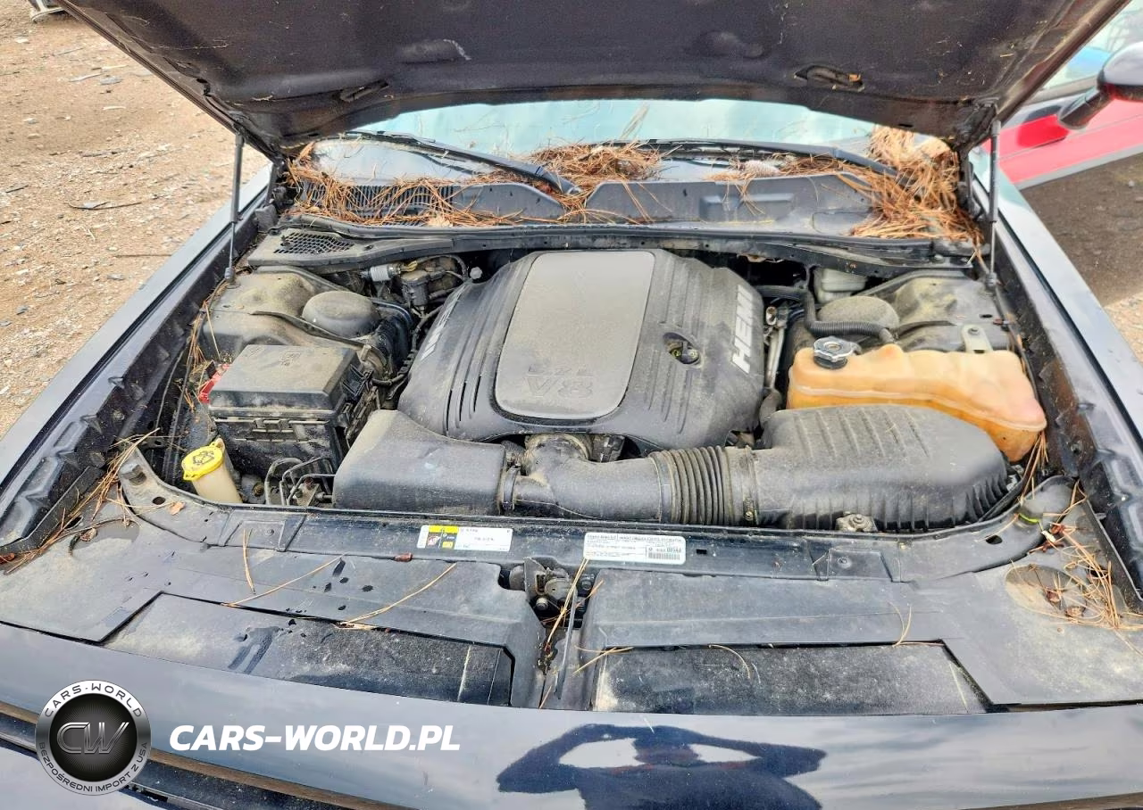 2014 Dodge Challenger R-T VIN:2C3CDYBT1EH224490 - 11