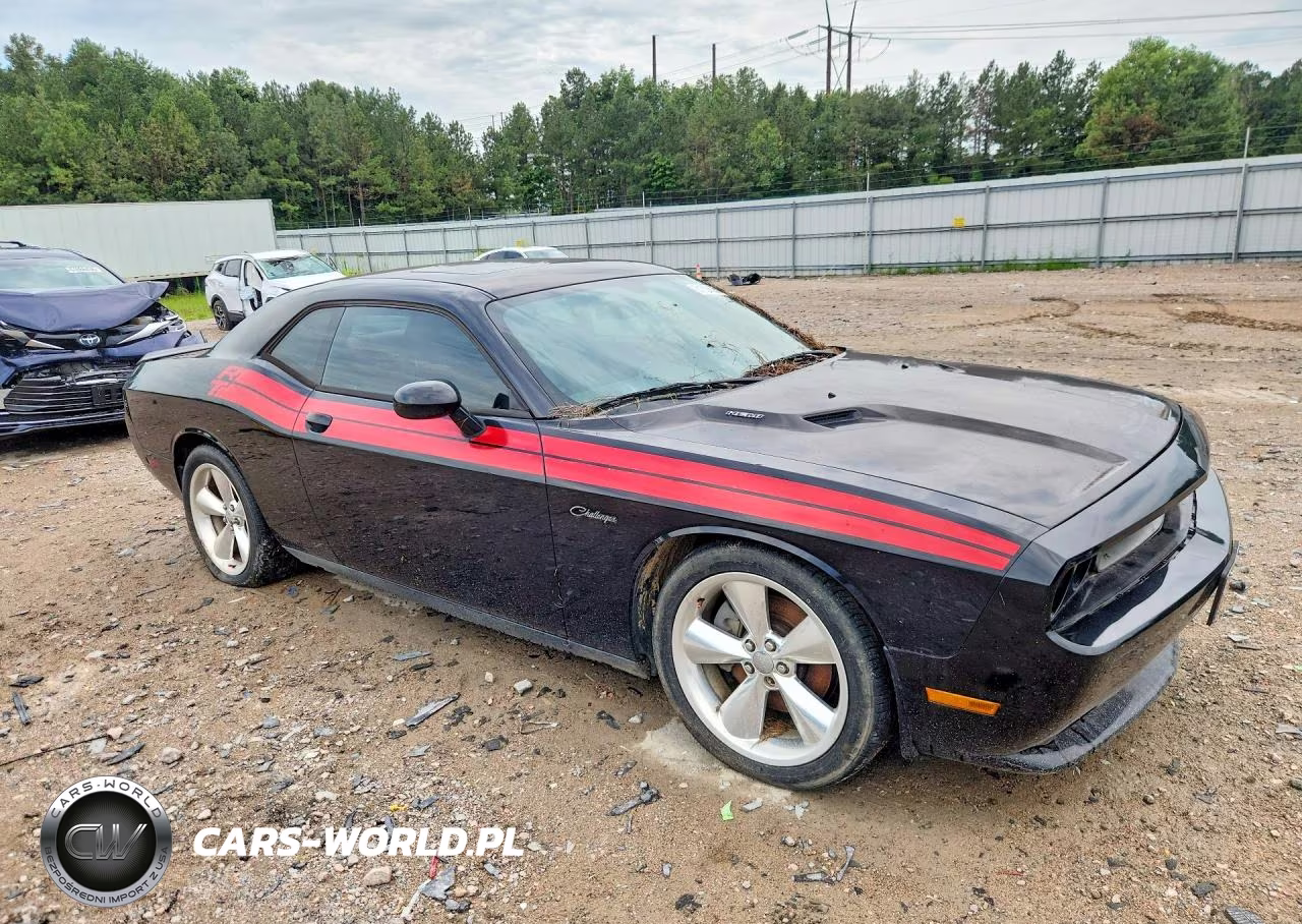 2014 Dodge Challenger R-T VIN:2C3CDYBT1EH224490 - 4