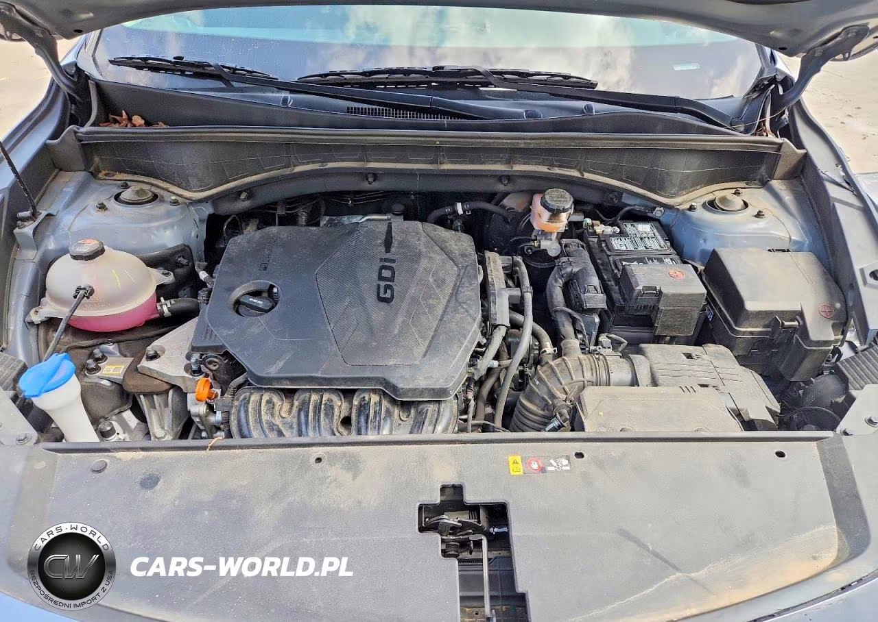 2023 Kia Sorento S VIN:5XYRL4LC1PG253246 - 12