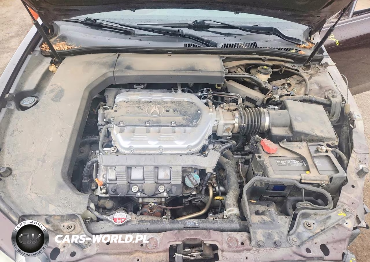 2009 Acura Tl VIN:19UUA96519A006632 - 11