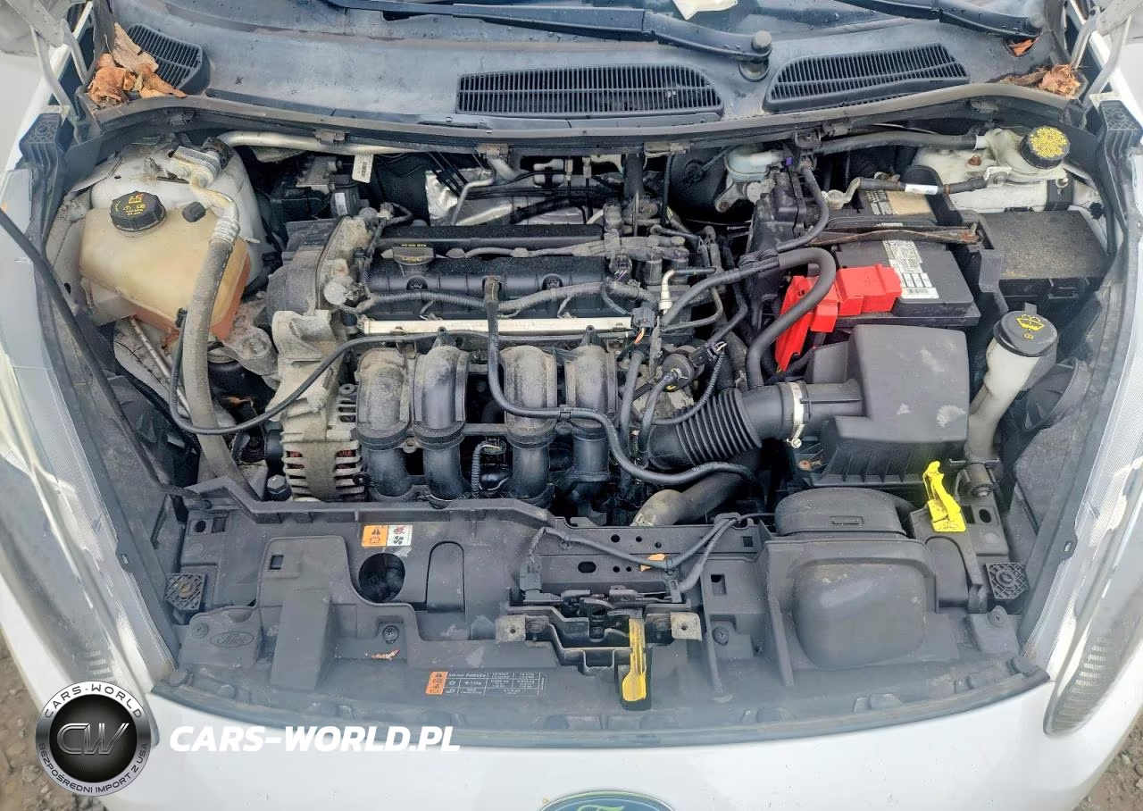 2015 Ford Fiesta Se VIN:3FADP4BJ1FM150687 - 11