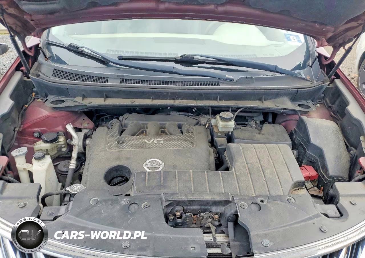 2010 Nissan Murano S VIN:JN8AZ1MW4AW117629 - 12