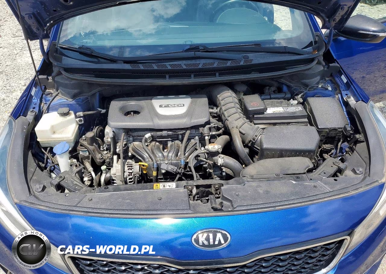 2017 Kia Forte5 Sx VIN:3KPFN5A37HE127039 - 11