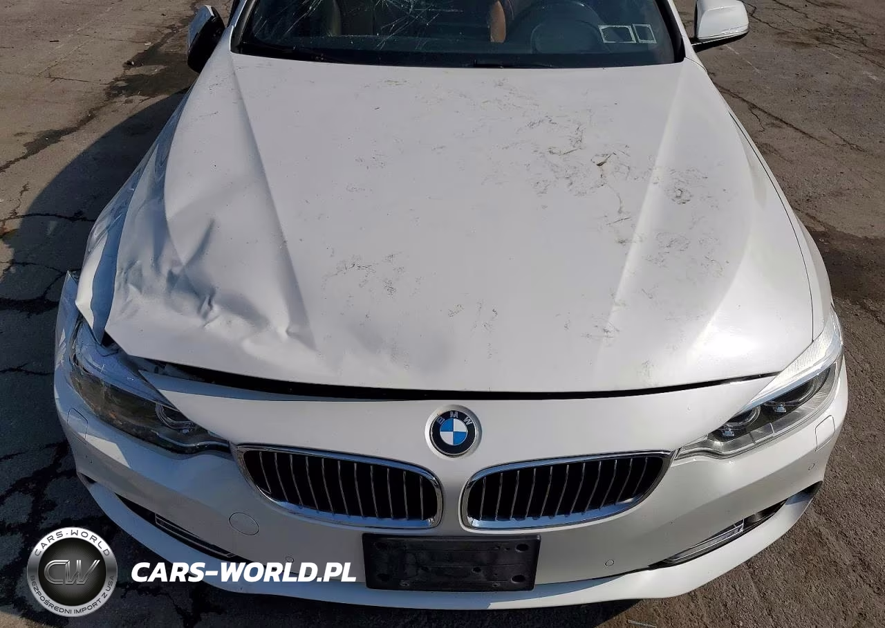 2016 BMW 428 Xi Gran Coupe Sulev VIN:WBA4C9C50GG140942 - 11