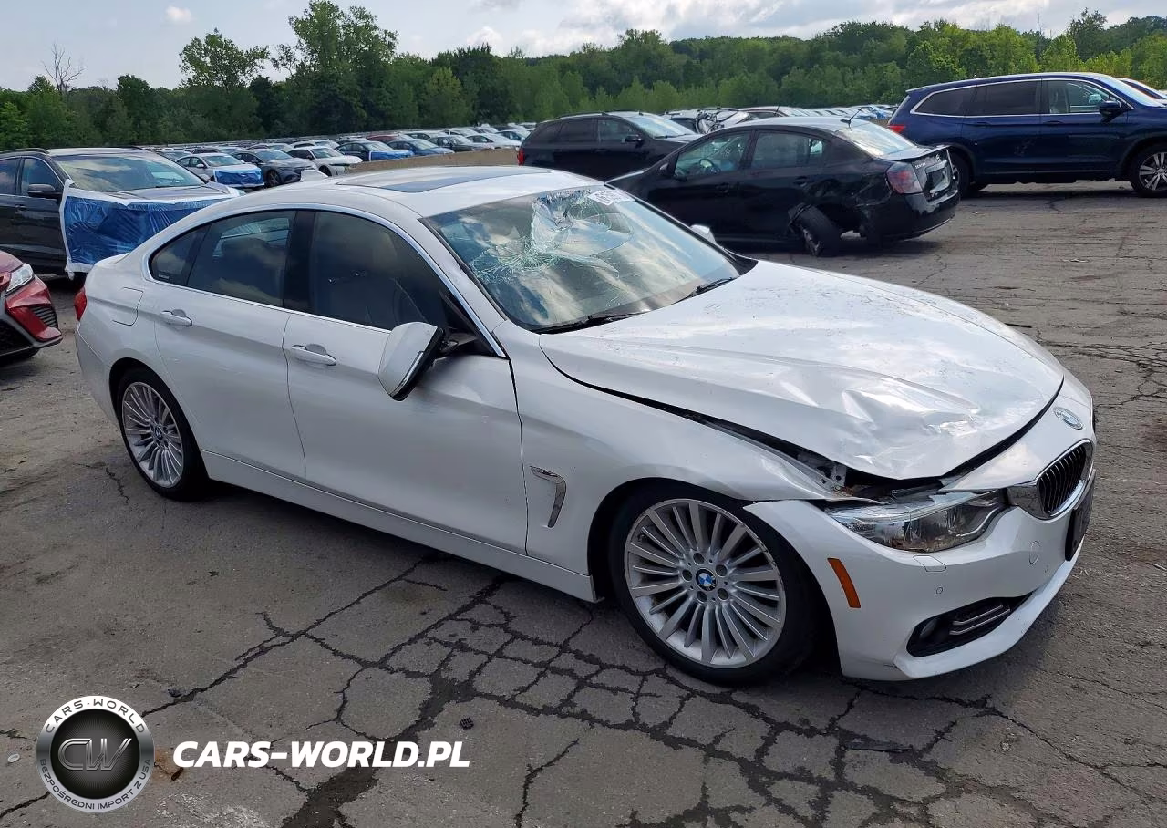 2016 BMW 428 Xi Gran Coupe Sulev VIN:WBA4C9C50GG140942 - 4