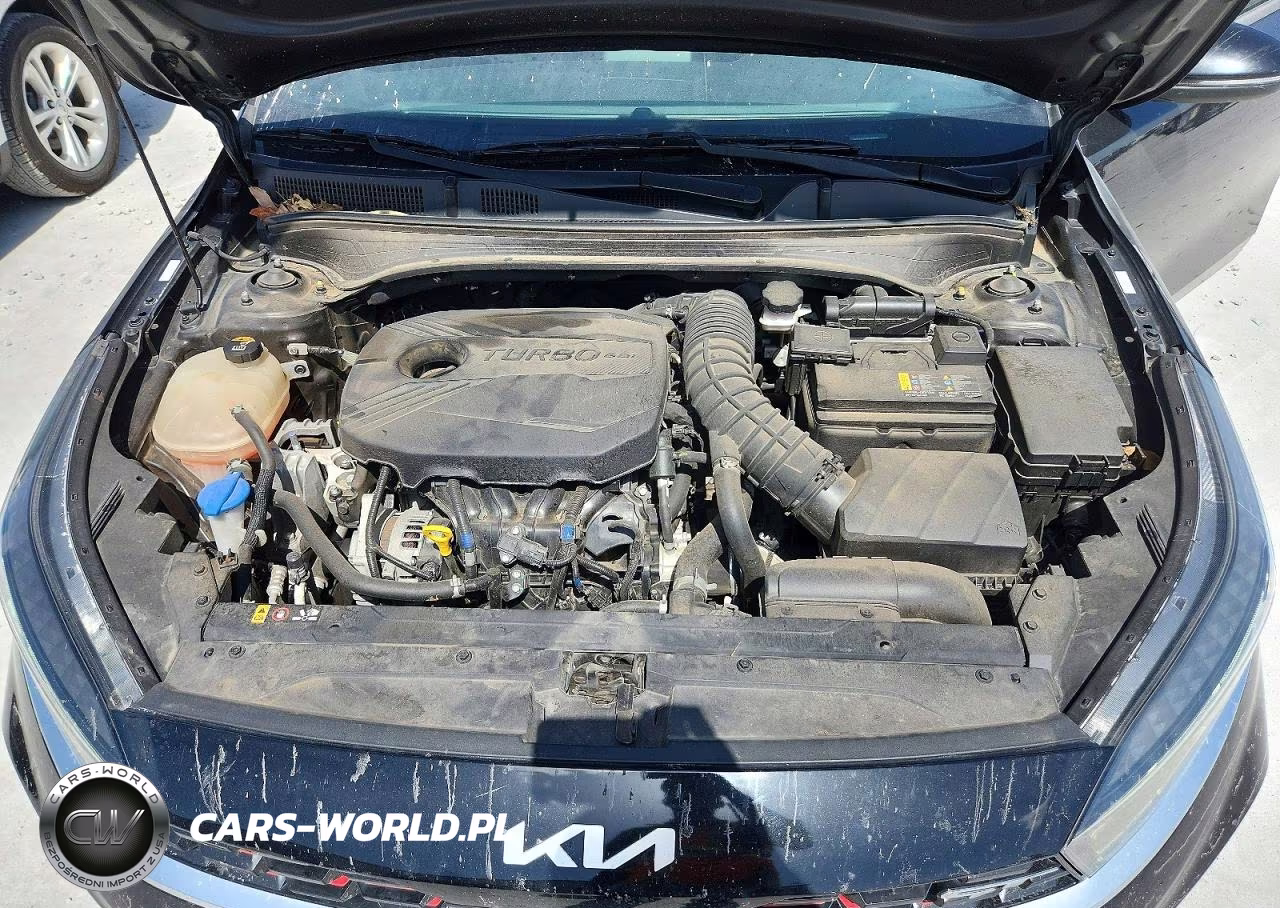 2022 Kia Forte VIN:3KPF44ACXNE488290 - 11