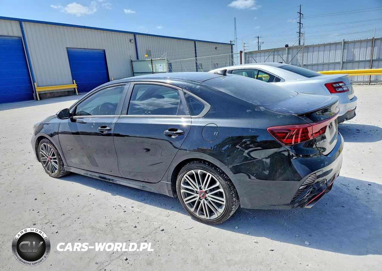 2022 Kia Forte VIN:3KPF44ACXNE488290 - 2