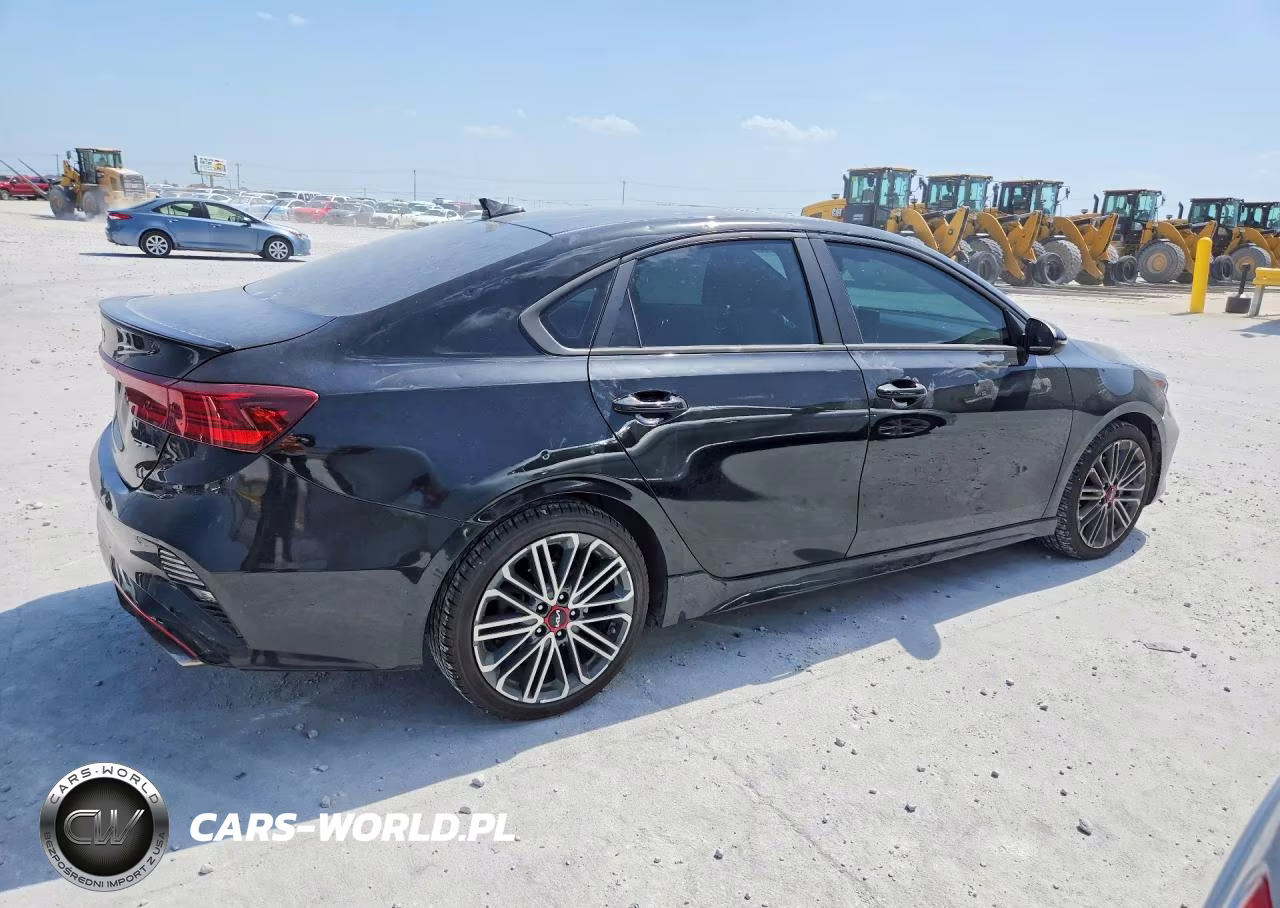2022 Kia Forte VIN:3KPF44ACXNE488290 - 3