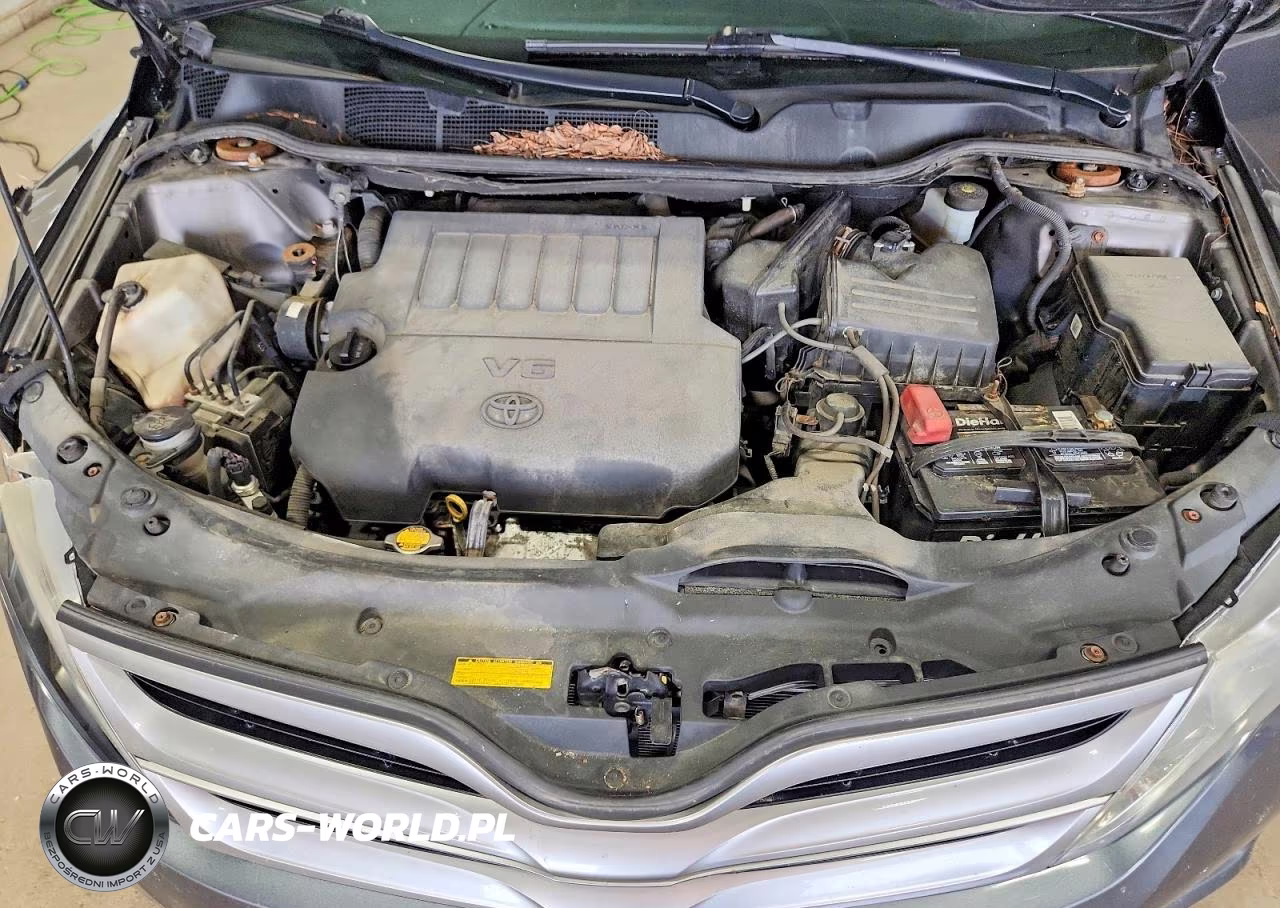 2013 Toyota Venza Xle VIN:4T3BK3BB1DU095429 - 12