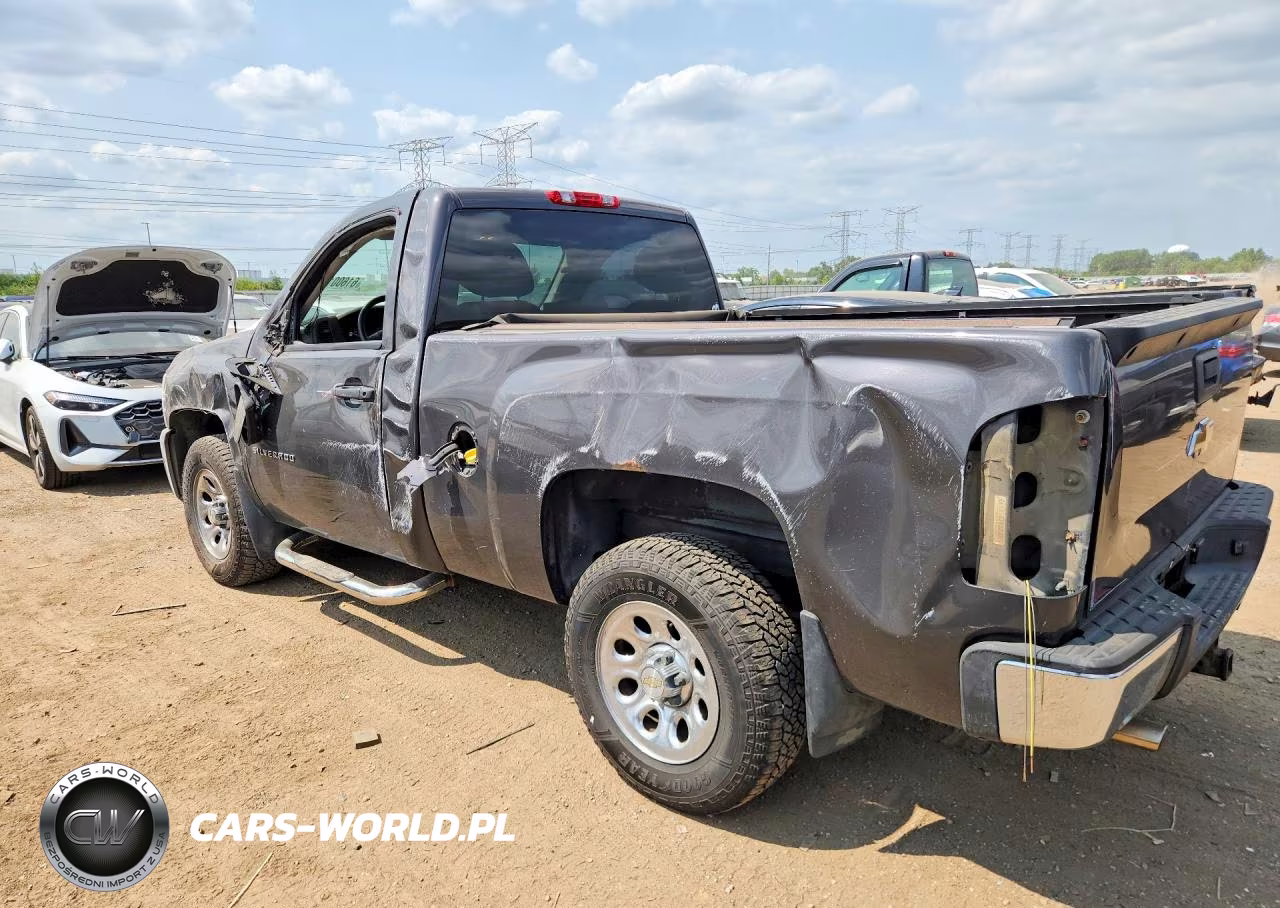 2010 Chevrolet Silverado K1500 VIN:1GCPKPEA9AZ189490 - 2