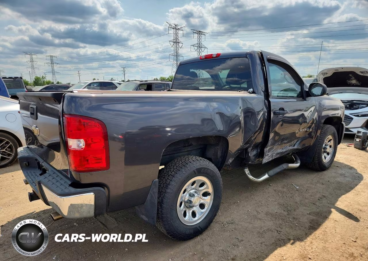 2010 Chevrolet Silverado K1500 VIN:1GCPKPEA9AZ189490 - 3