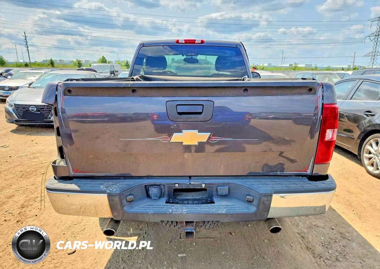 2010 Chevrolet Silverado K1500 VIN:1GCPKPEA9AZ189490 - 6