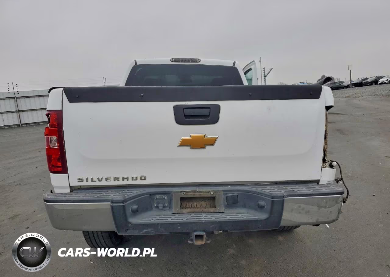 2012 Chevrolet Silverado C1500 VIN:1GCNCPEX9CZ129396 - 10