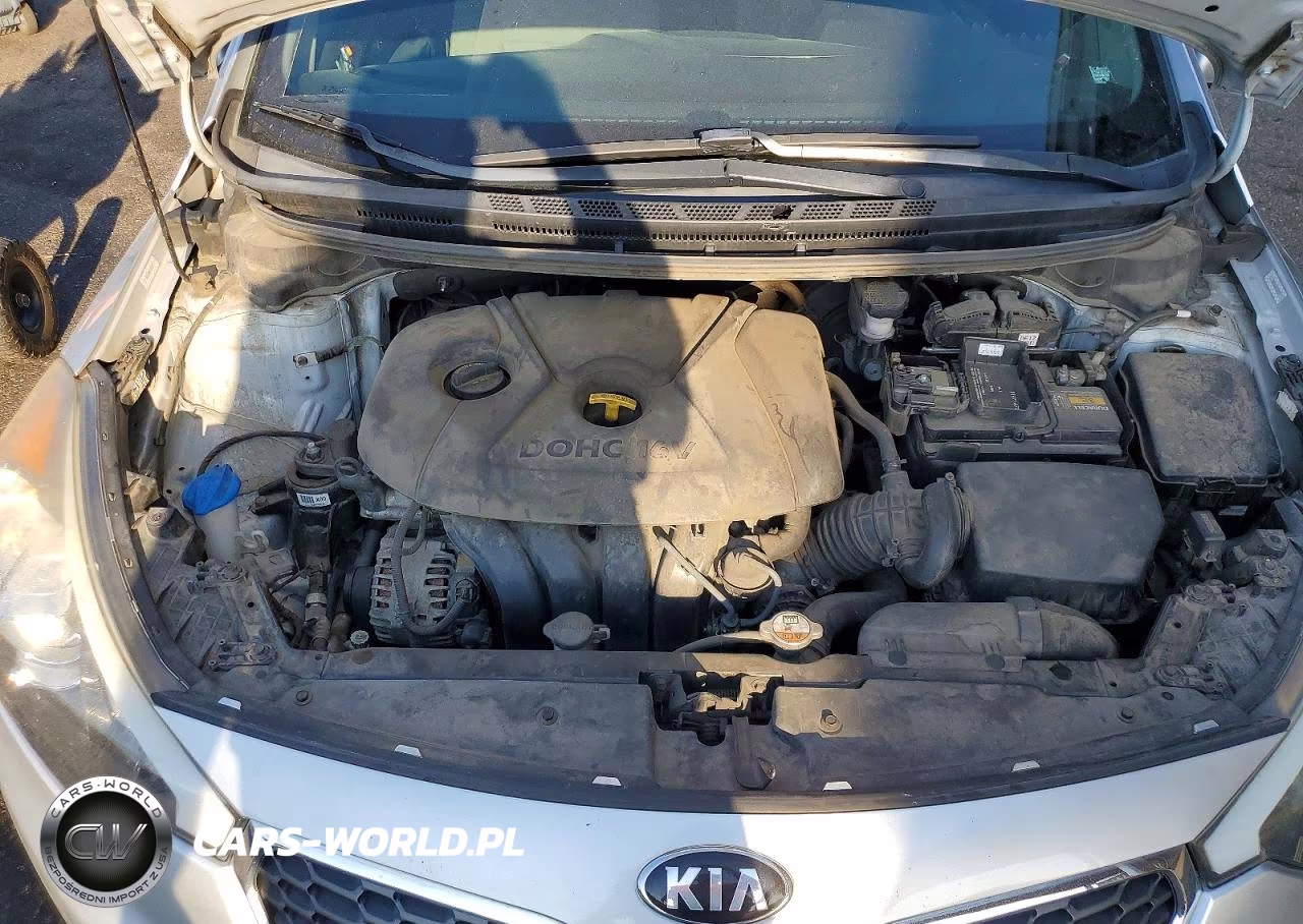 2014 Kia Forte Lx VIN:KNAFK4A68E5191012 - 11