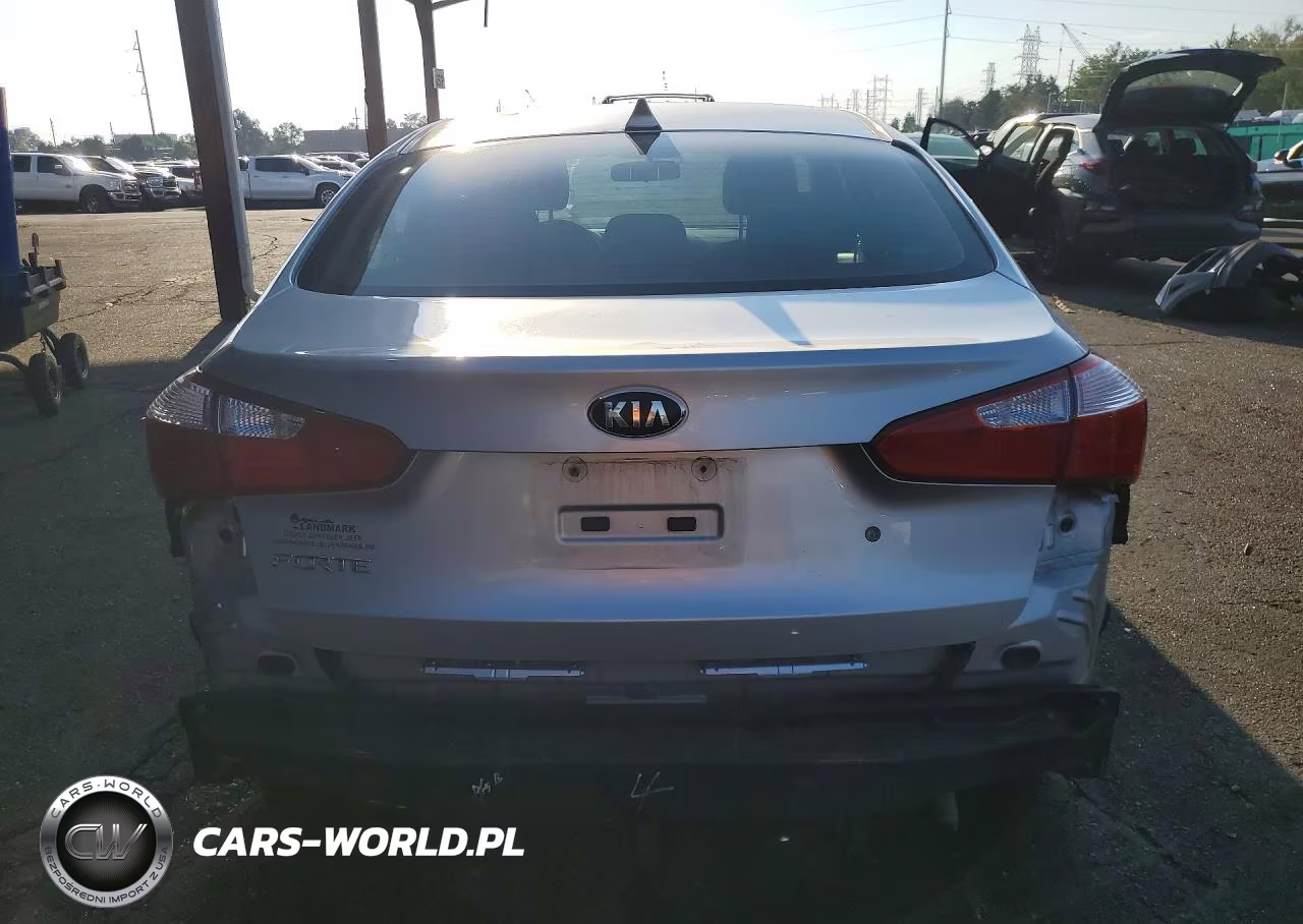 2014 Kia Forte Lx VIN:KNAFK4A68E5191012 - 6