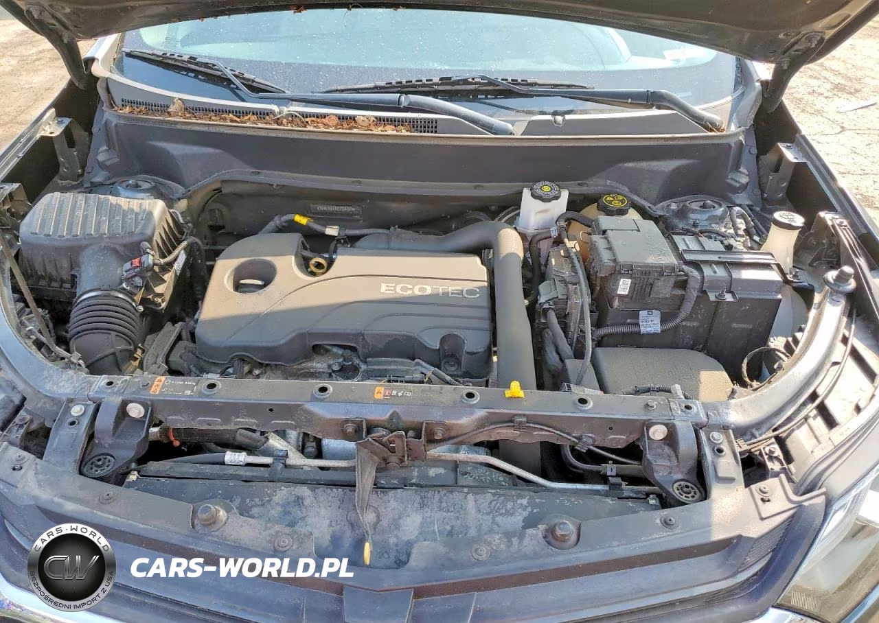 2019 Chevrolet Equinox Ls VIN:2GNAXHEV6K6164759 - 12