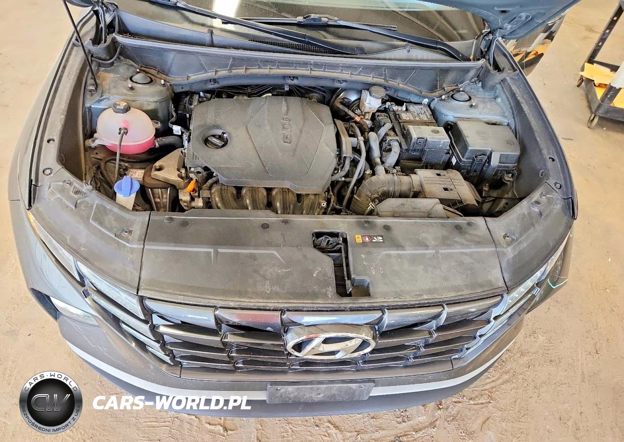 2023 Hyundai Tucson Se VIN:5NMJA3AE5PH251510 - 12