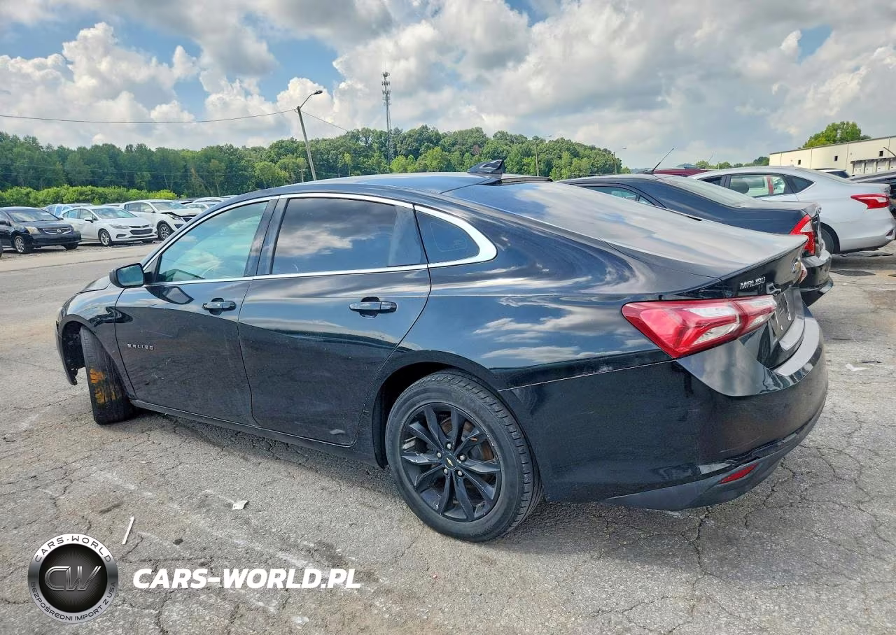 2019 Chevrolet Malibu Lt VIN:1G1ZD5ST8KF114627 - 2