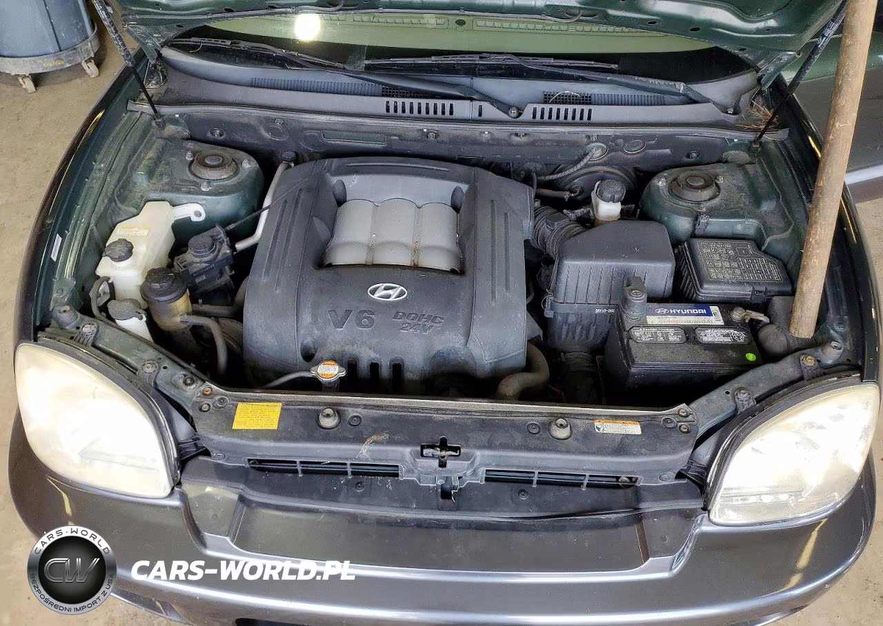 2006 Hyundai Santa Fe VIN:KM8SC13D16U111383 - 12