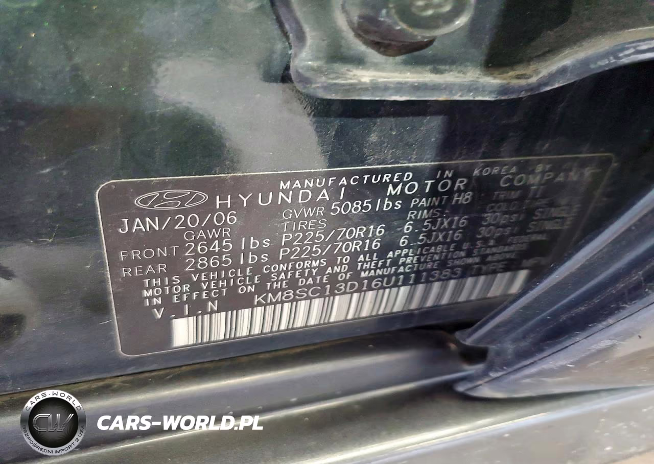 2006 Hyundai Santa Fe VIN:KM8SC13D16U111383 - 13