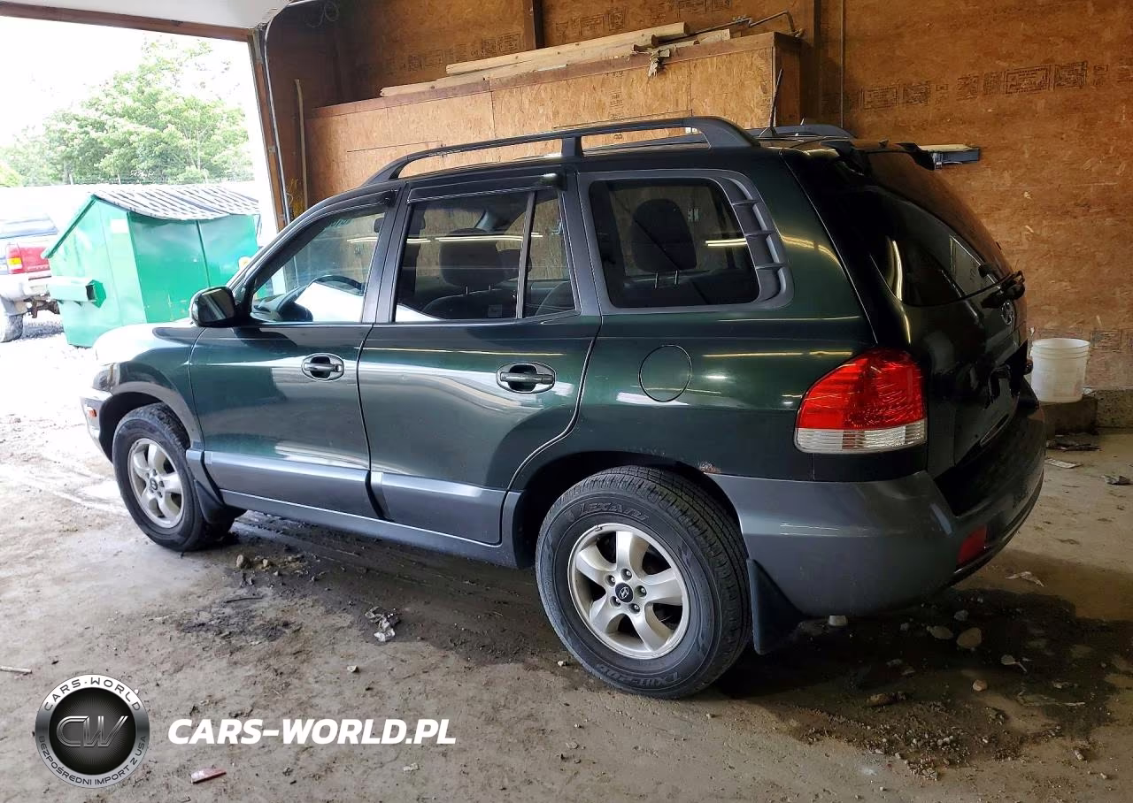 2006 Hyundai Santa Fe VIN:KM8SC13D16U111383 - 2