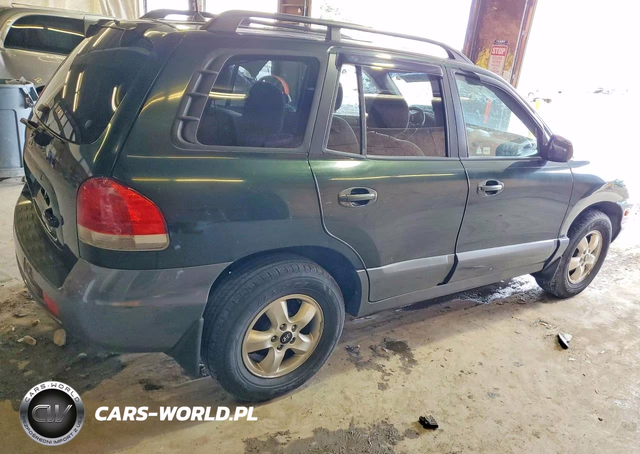 2006 Hyundai Santa Fe VIN:KM8SC13D16U111383 - 3