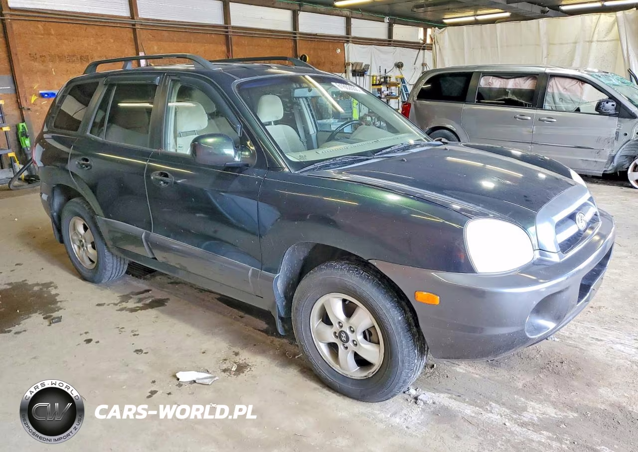 2006 Hyundai Santa Fe VIN:KM8SC13D16U111383 - 4