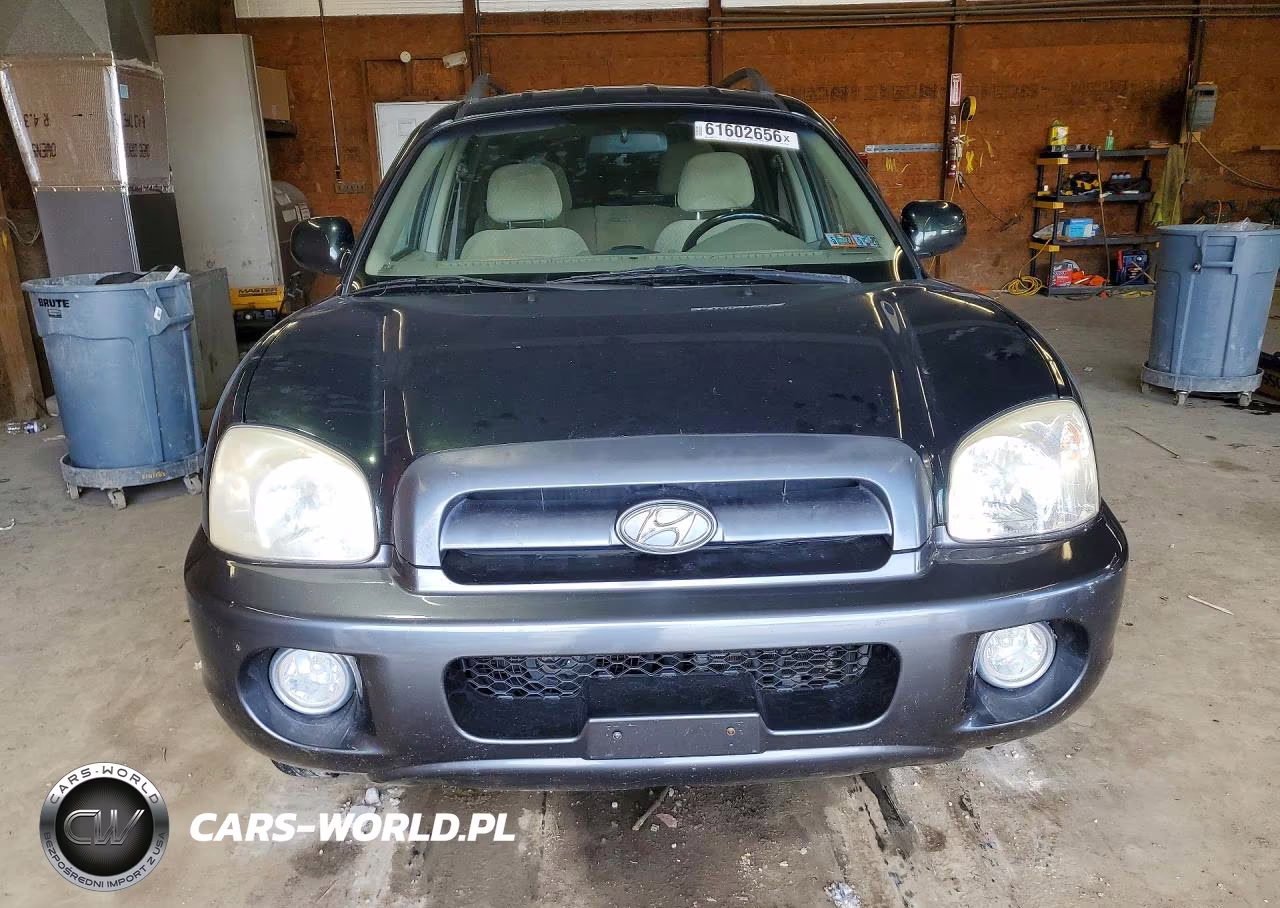 2006 Hyundai Santa Fe VIN:KM8SC13D16U111383 - 5
