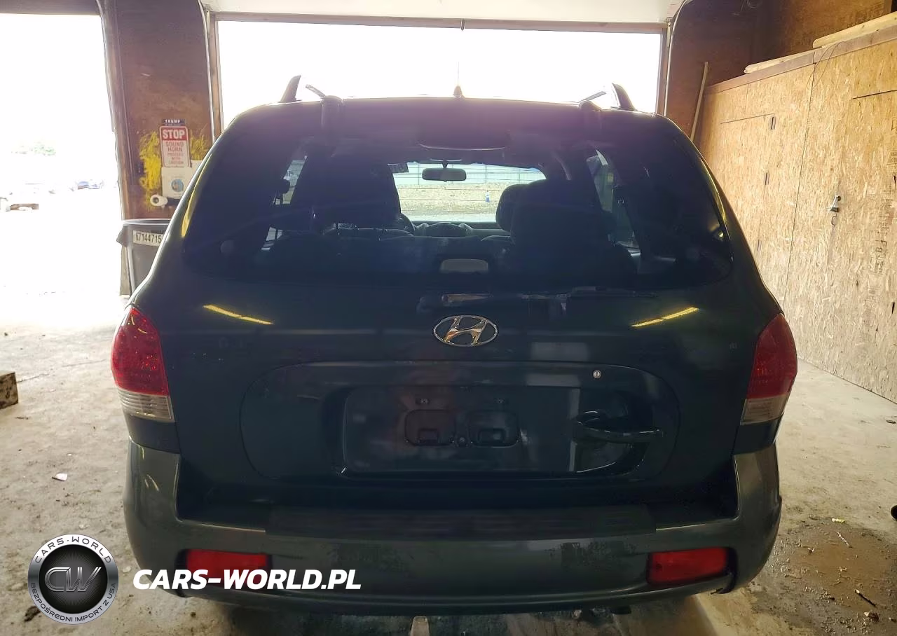 2006 Hyundai Santa Fe VIN:KM8SC13D16U111383 - 6
