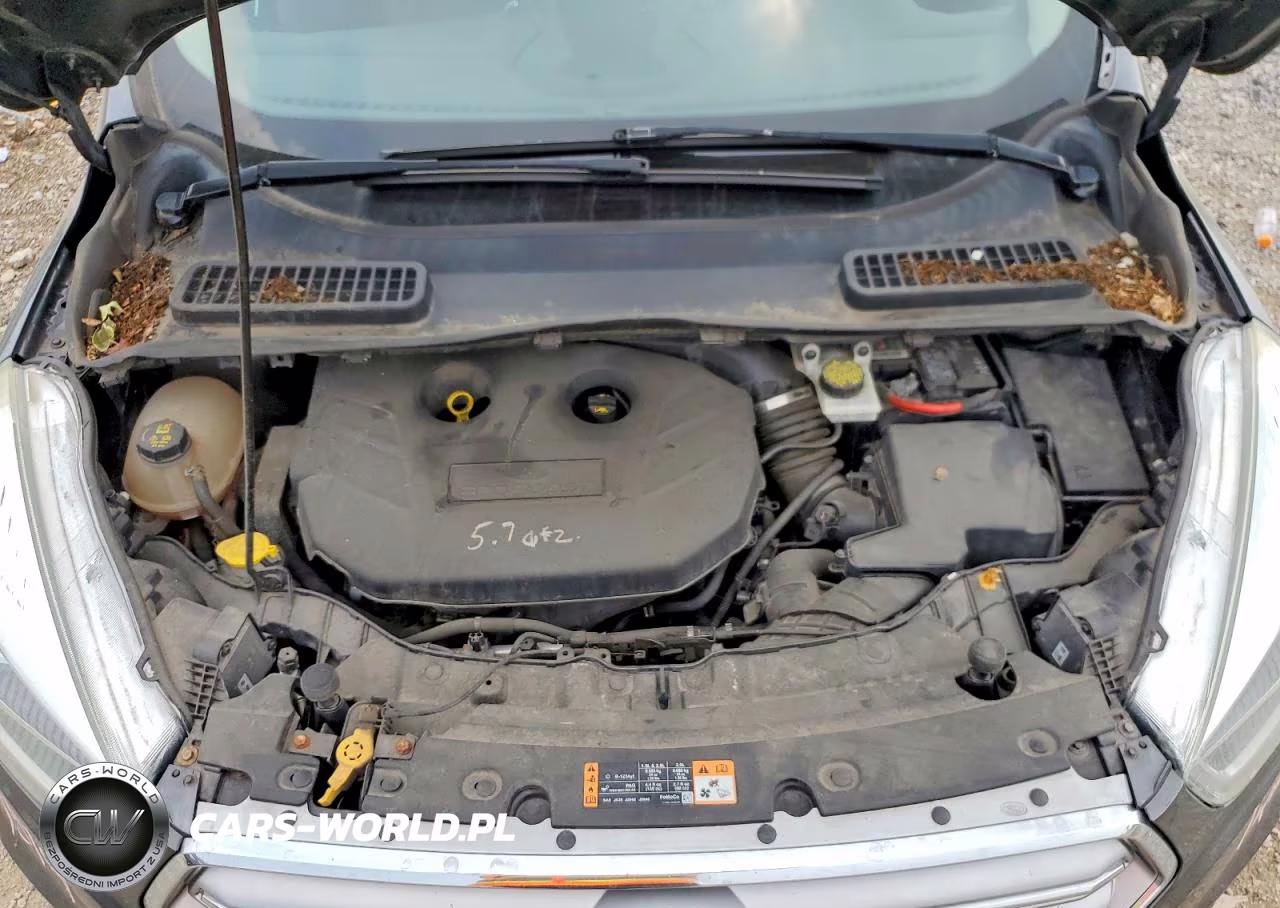 2017 Ford Escape Se VIN:1FMCU9G9XHUC36018 - 11