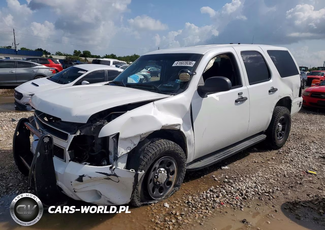 2009 Chevrolet Tahoe Police VIN:1GNEC030X9R262276 - 1