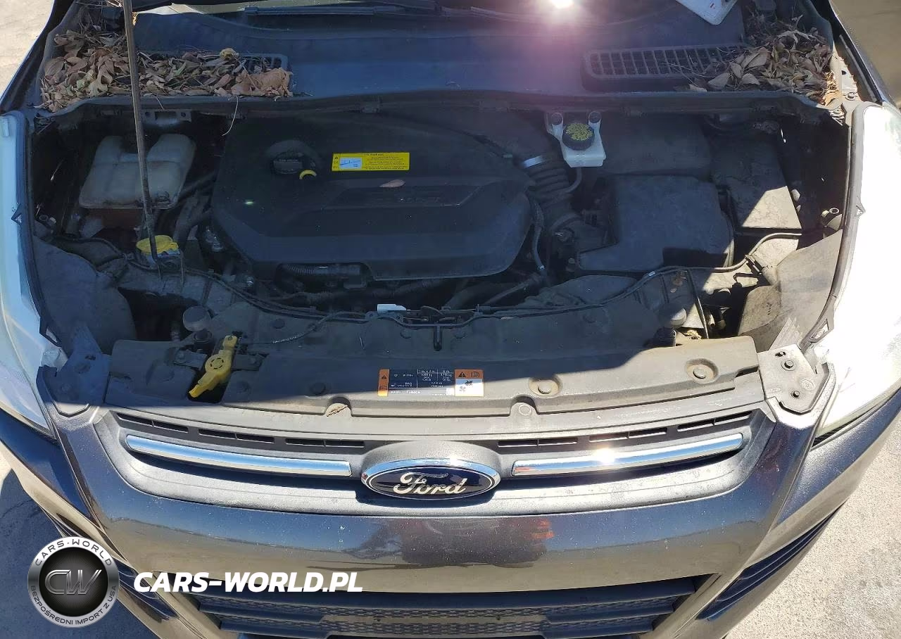 2016 Ford Escape Se VIN:1FMCU0GX3GUA12226 - 11