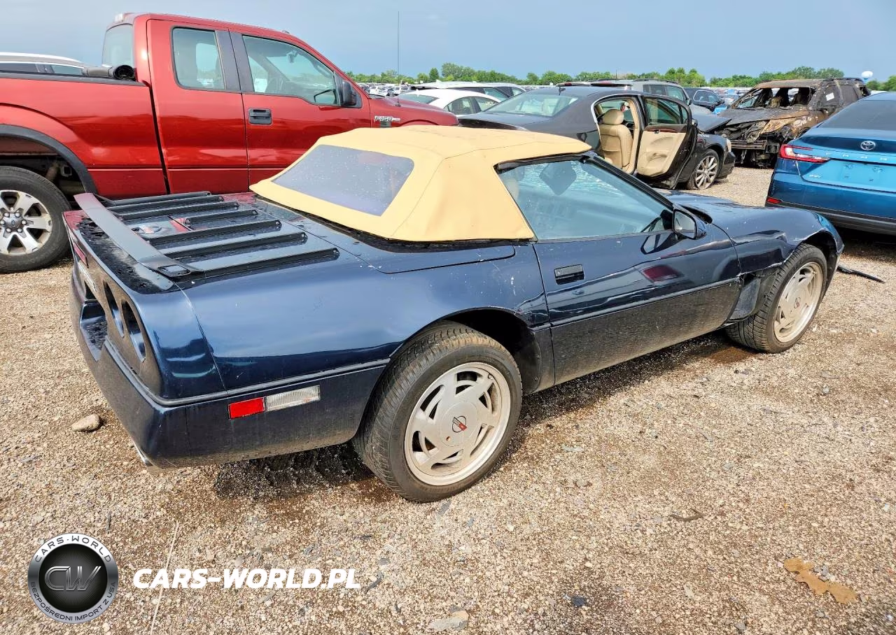 1989 Chevrolet Corvette VIN:1G1YY3187K5112956 - 3