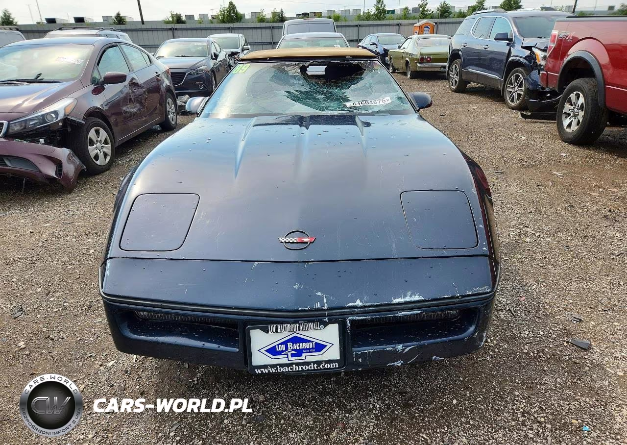 1989 Chevrolet Corvette VIN:1G1YY3187K5112956 - 5
