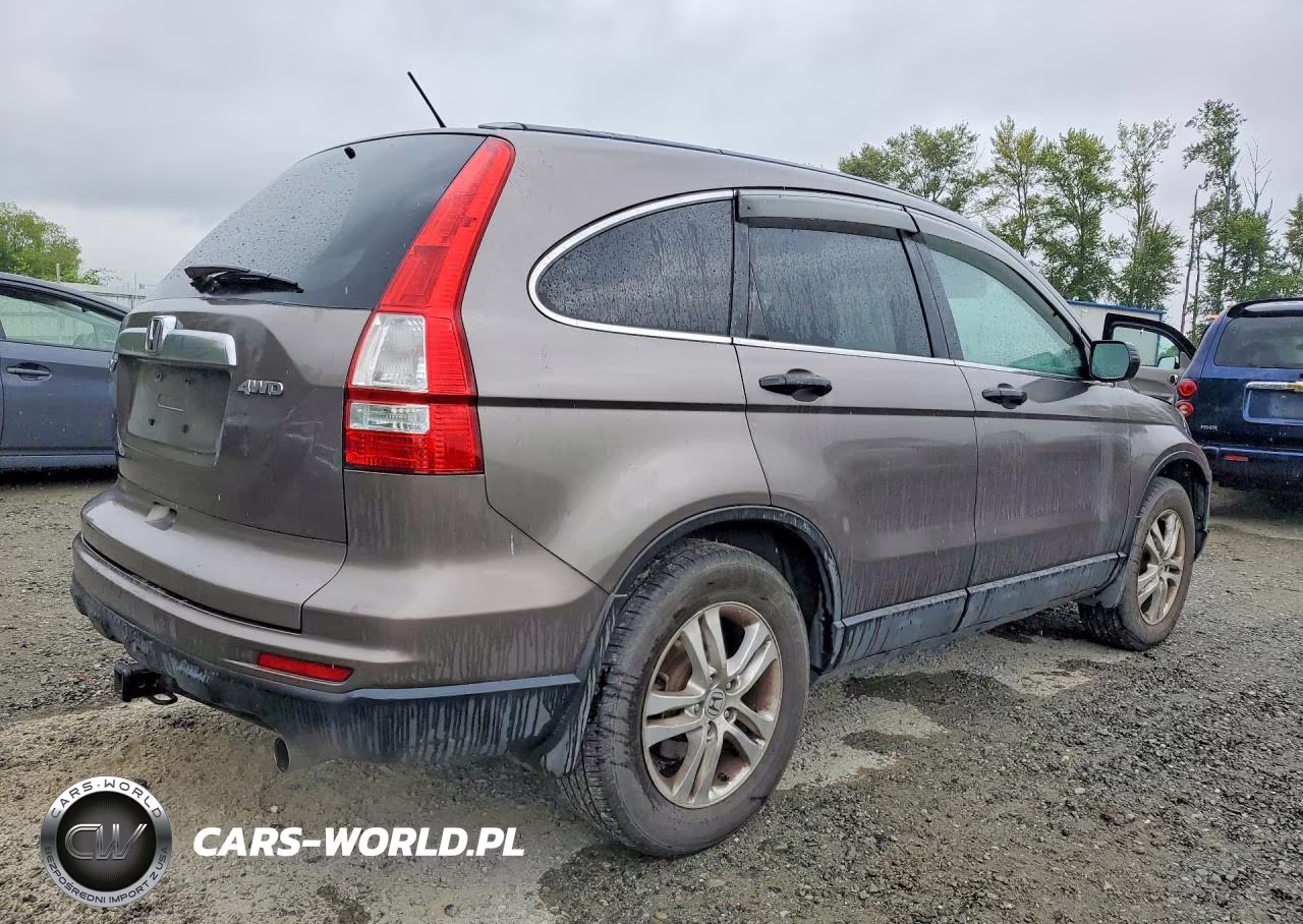 2010 Honda Cr-V Ex VIN:5J6RE4H55AL000392 - 3