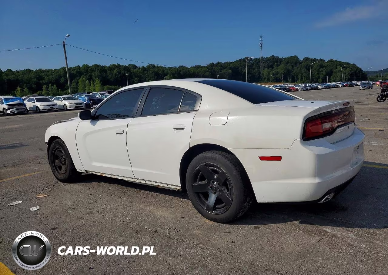 2013 Dodge Charger Police VIN:2C3CDXAT2DH523514 - 2