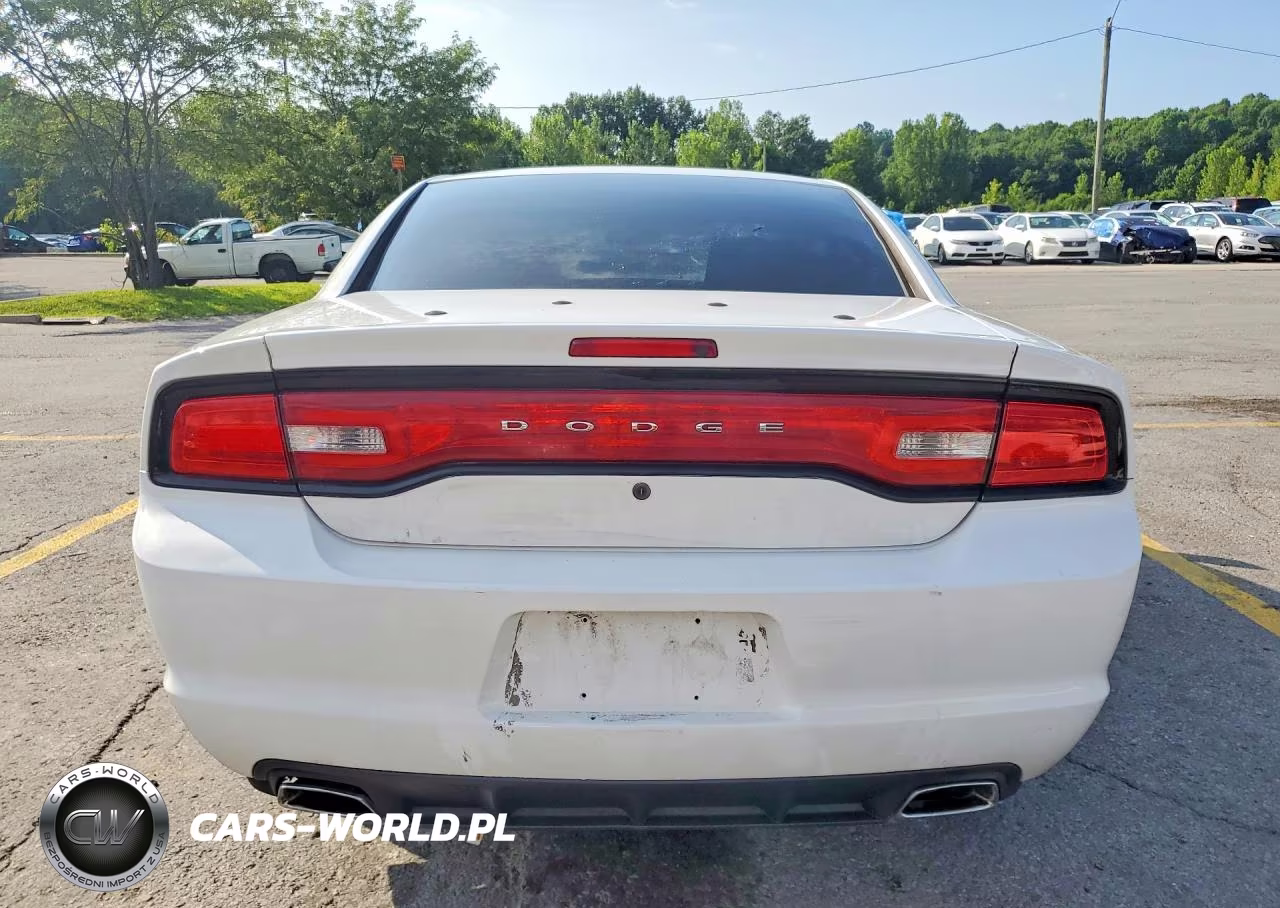 2013 Dodge Charger Police VIN:2C3CDXAT2DH523514 - 6