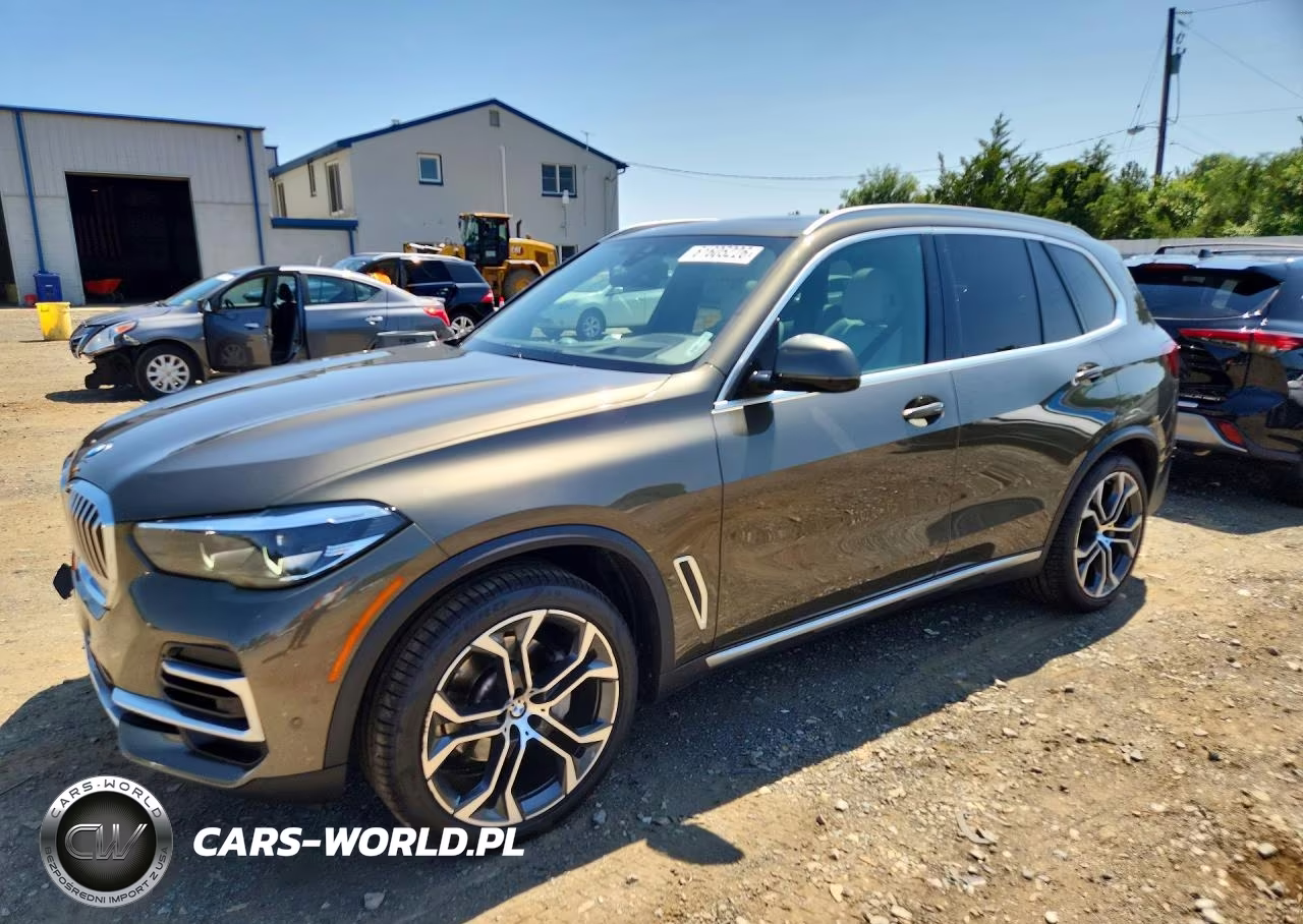 2023 BMW X5 Sdrive 40I – zdjęcie 1 z 13