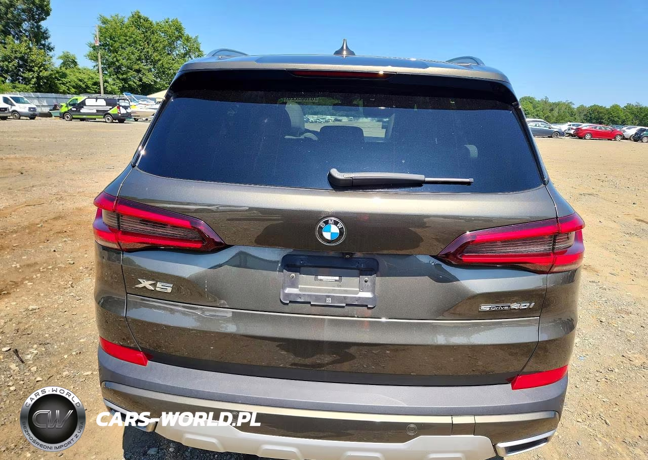 2023 BMW X5 Sdrive 40I VIN:5UXCR4C00P9R29468 - 6