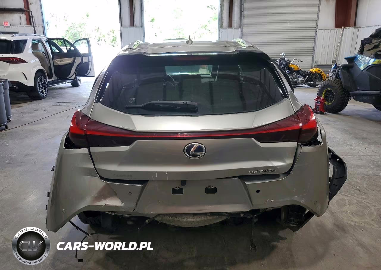 2021 Lexus Ux 250H VIN:JTHP9JBH3M2047545 - 6