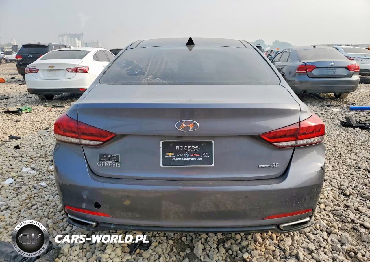 2015 Hyundai Genesis 3.8L VIN:KMHGN4JE2FU102995 - 6