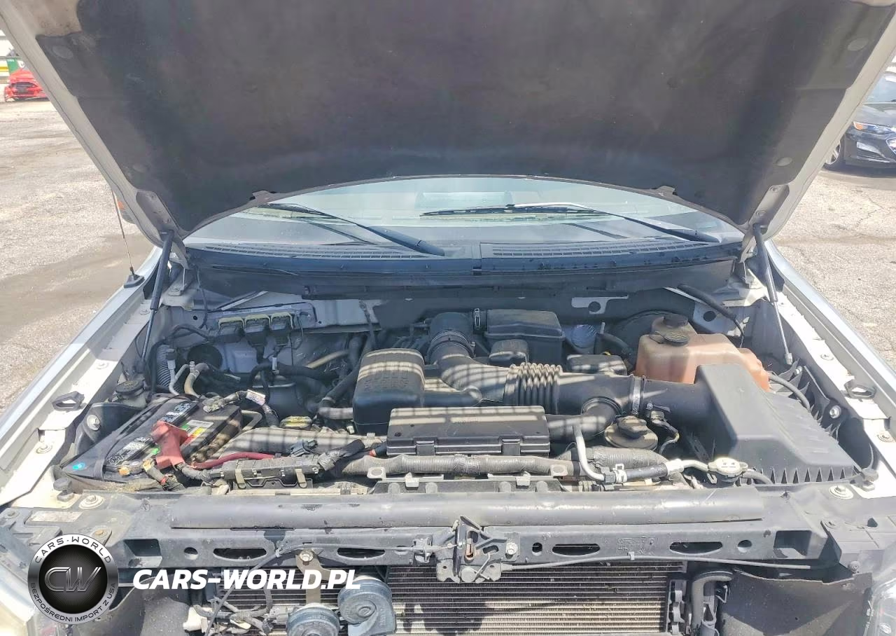 2010 Ford F150 Supercrew VIN:1FTFW1CVXAFA17845 - 11