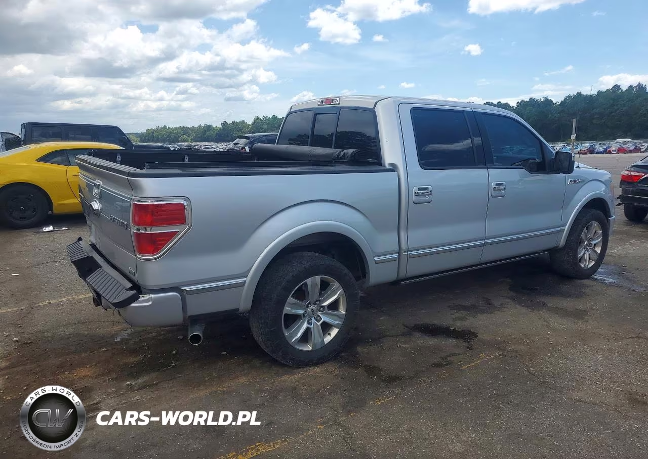 2010 Ford F150 Supercrew VIN:1FTFW1CVXAFA17845 - 3