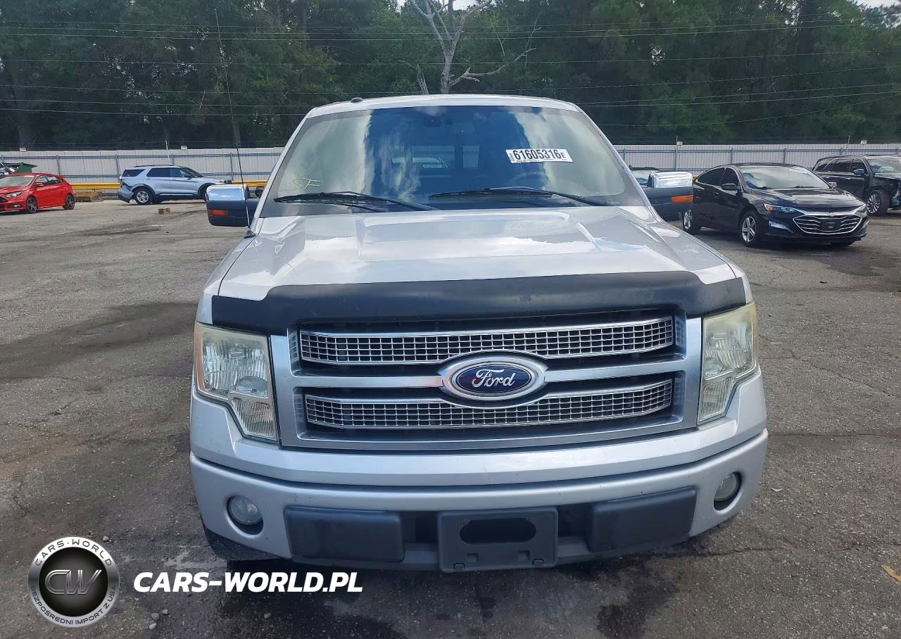 2010 Ford F150 Supercrew VIN:1FTFW1CVXAFA17845 - 5