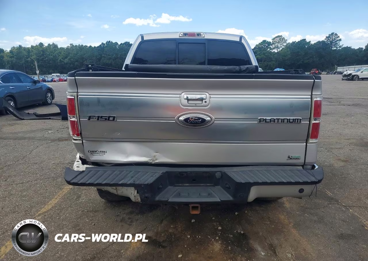 2010 Ford F150 Supercrew VIN:1FTFW1CVXAFA17845 - 6