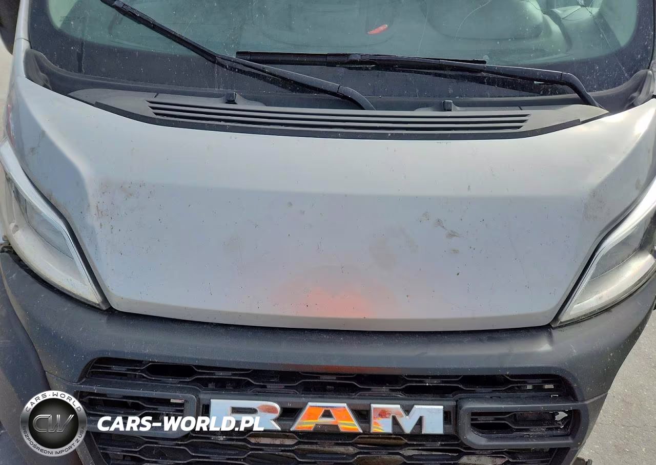 2025 Ram Promaster 2500 Delivery Van VIN:3C6LRVDG6SE551123 - 12