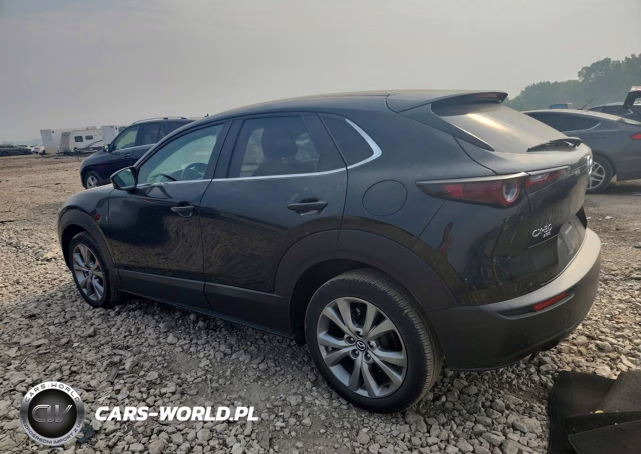 2020 Mazda Cx-30 Select VIN:3MVDMBCL7LM115993 - 2