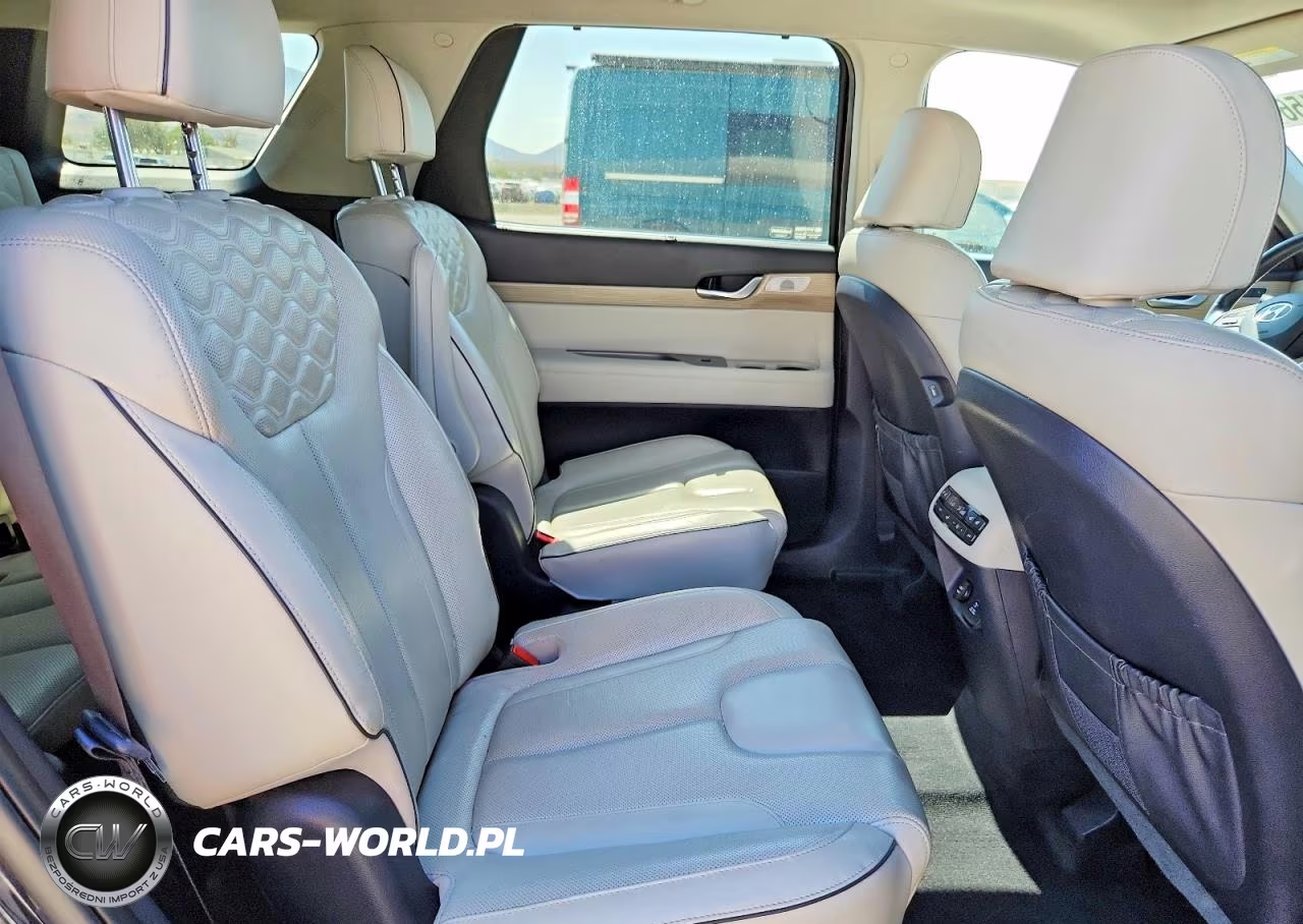 2021 Hyundai Palisade Limited VIN:KM8R5DHE6MU269727 - 11