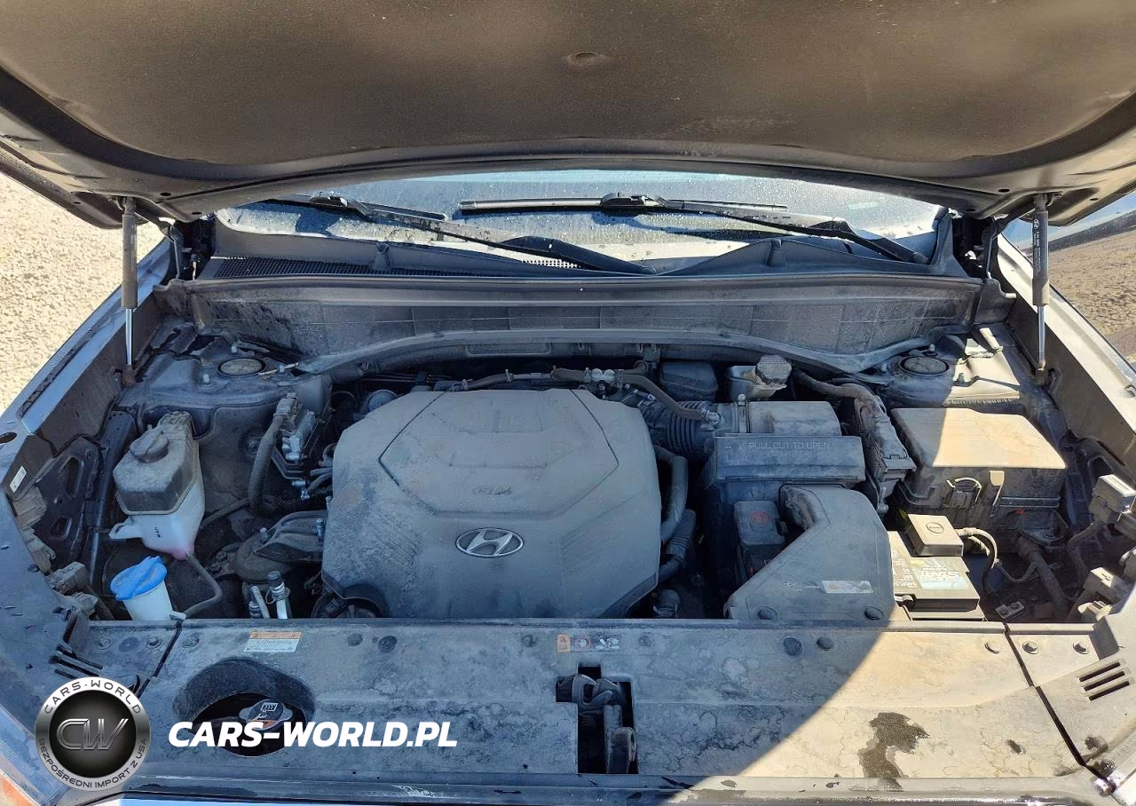 2021 Hyundai Palisade Limited VIN:KM8R5DHE6MU269727 - 12